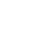 Website Icon Step 2 White